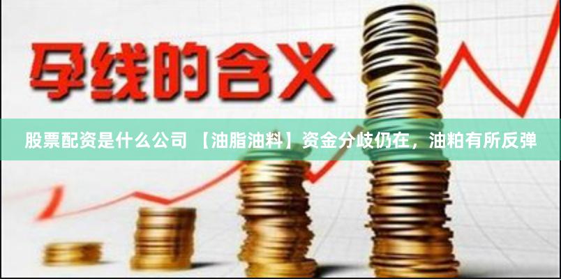 股票配资是什么公司 【油脂油料】资金分歧仍在，油粕有所反弹