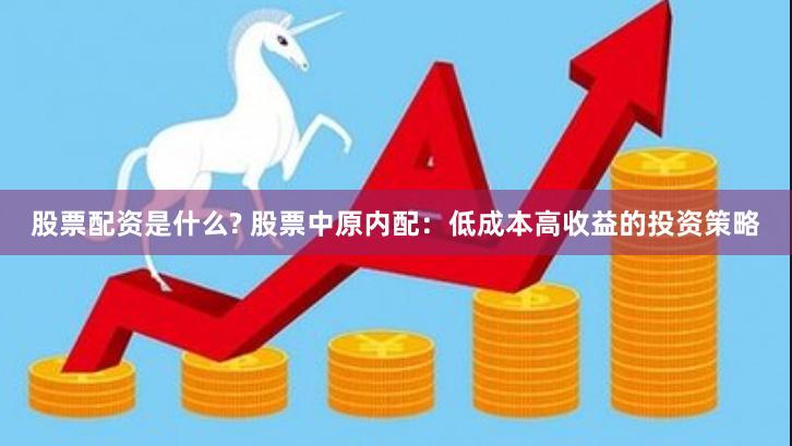 股票配资是什么? 股票中原内配：低成本高收益的投资策略