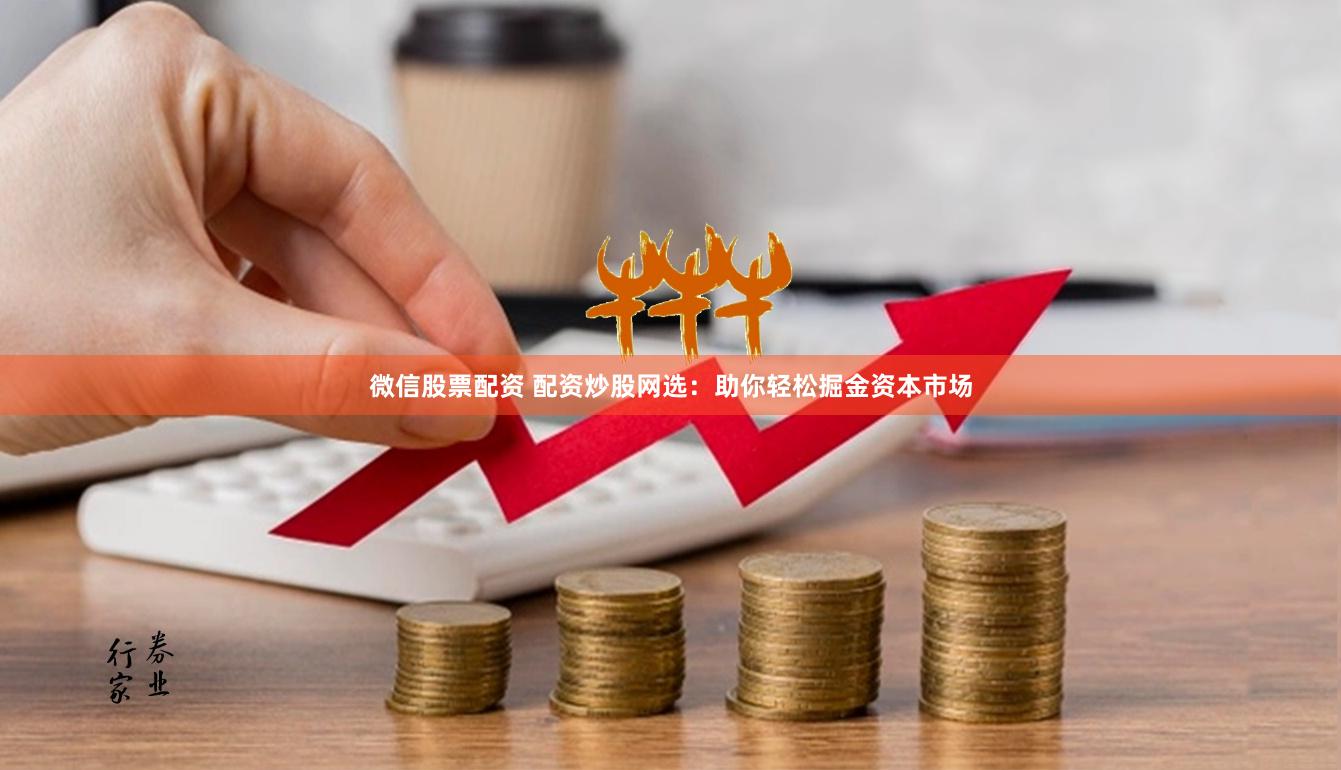 微信股票配资 配资炒股网选：助你轻松掘金资本市场