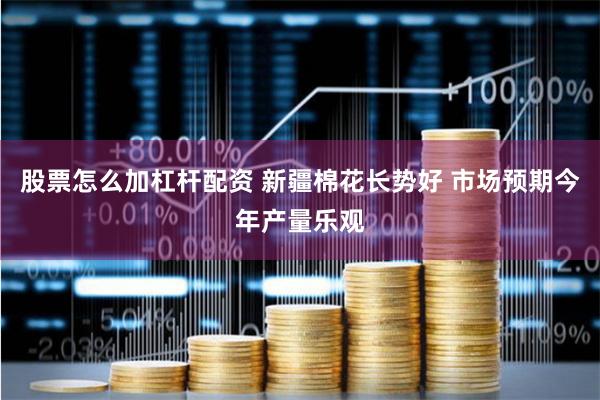 股票怎么加杠杆配资 新疆棉花长势好 市场预期今年产量乐观